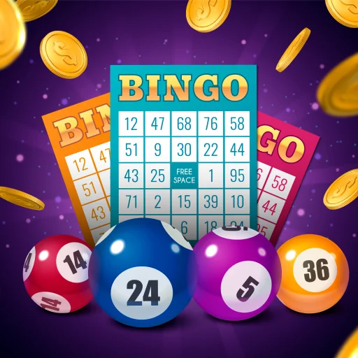 Cover image for Bingo